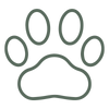 PH-Balanced-Green_dd4d5ba4-8fa6-4428-8e7b-af681ca8b957.png