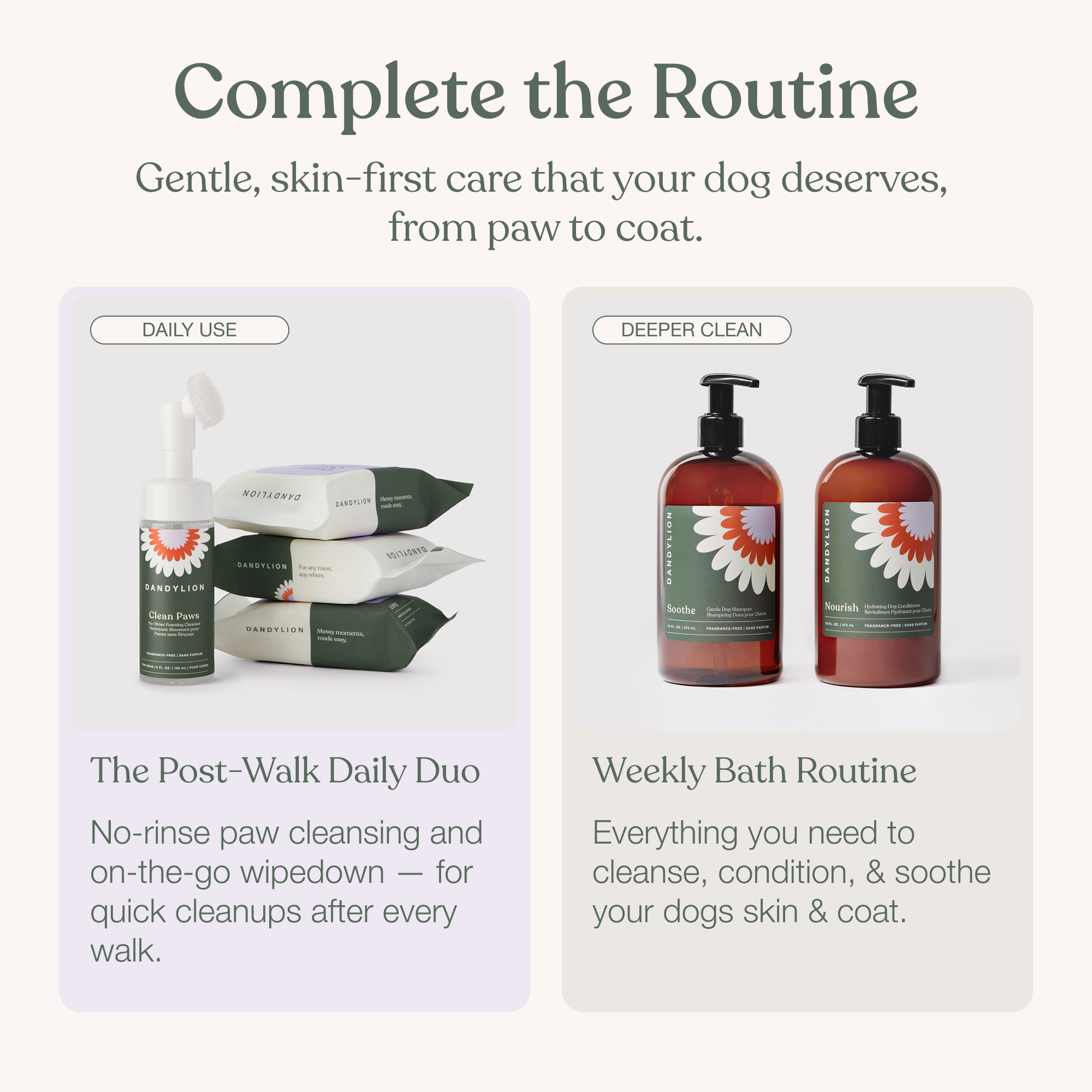 The Post-Walk Daily Duo