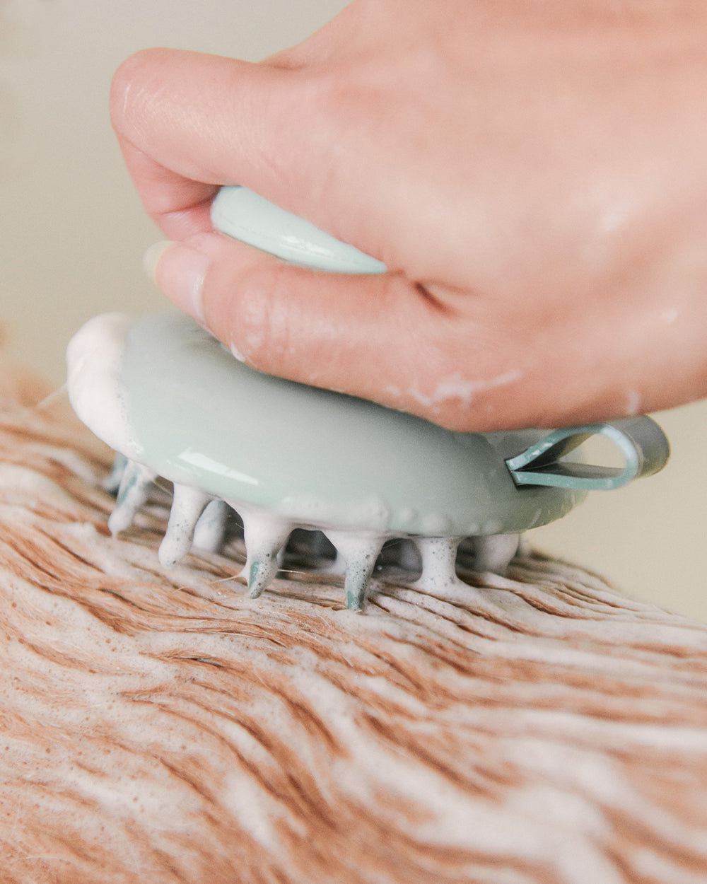 Scrub Brush | Deshed + Lather