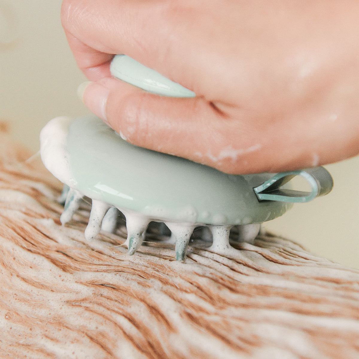 Scrub Brush