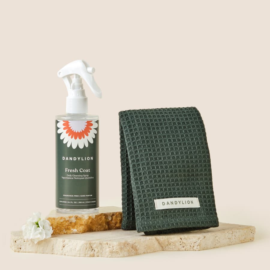 Daily Coat Cleaning Kit | Coat Cleansing Spray + Towel (Green)