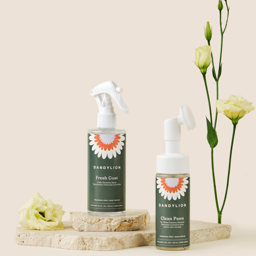 Daily Clean Kit | Paw Cleanser + Coat Cleansing Spray