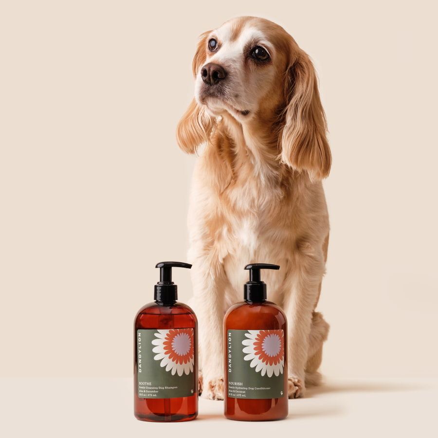 The Everything Kit - Coat + Paw Care | Paw Cleanser + Coat Cleansing Spray + Paw Lotion + Shampoo + Conditioner