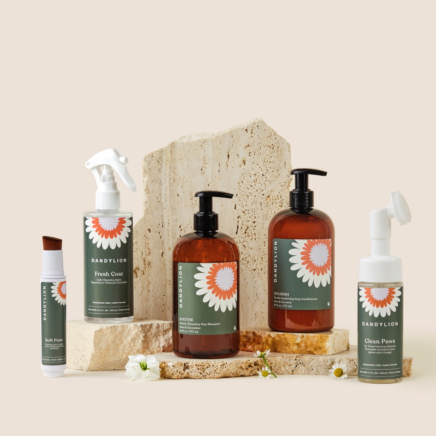 The Everything Kit - Coat + Paw Care | Paw Cleanser + Coat Cleansing Spray + Paw Lotion + Shampoo + Conditioner