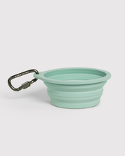 Collapsible Travel Dog Bowl