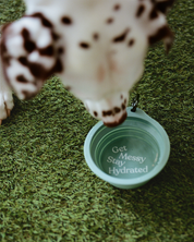 Collapsible Travel Dog Bowl