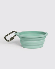 Collapsible Travel Dog Bowl