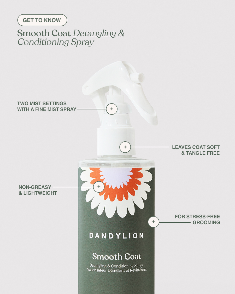 The Smooth Daily Duo | Detangling Spray + Brush