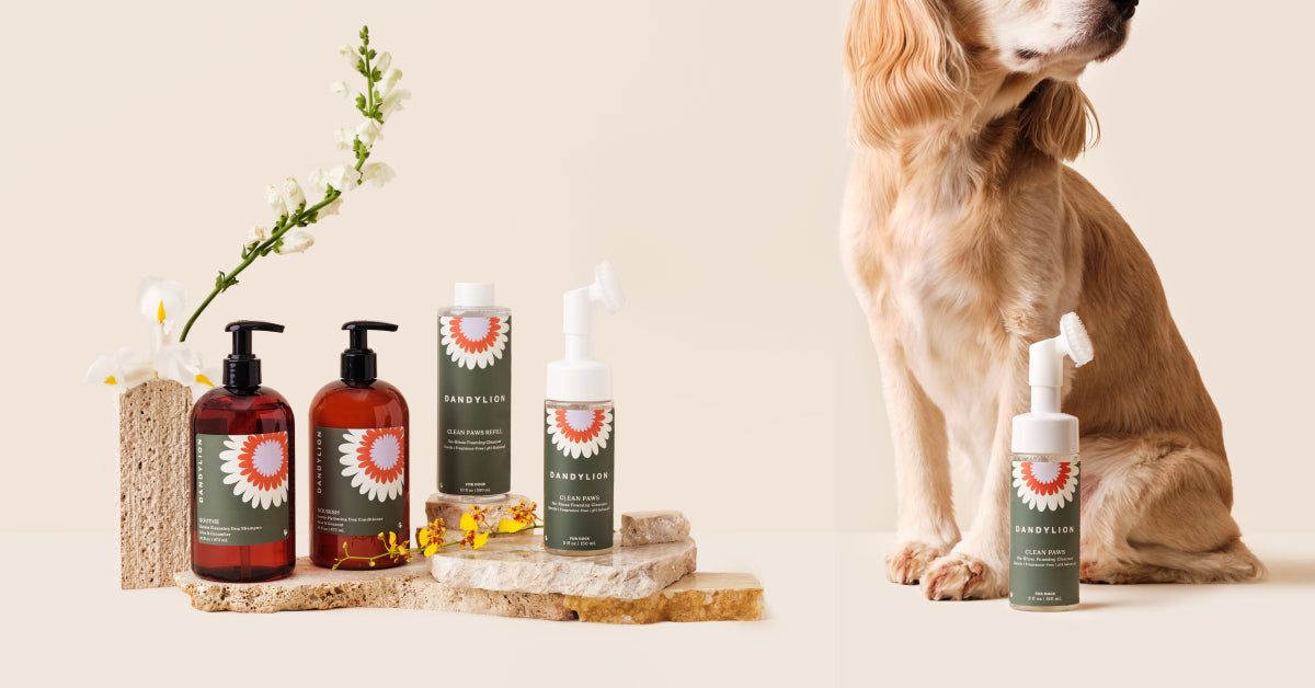 Clean Paws Dog Paw Cleaner | No-Rinse Foam | Dandylion