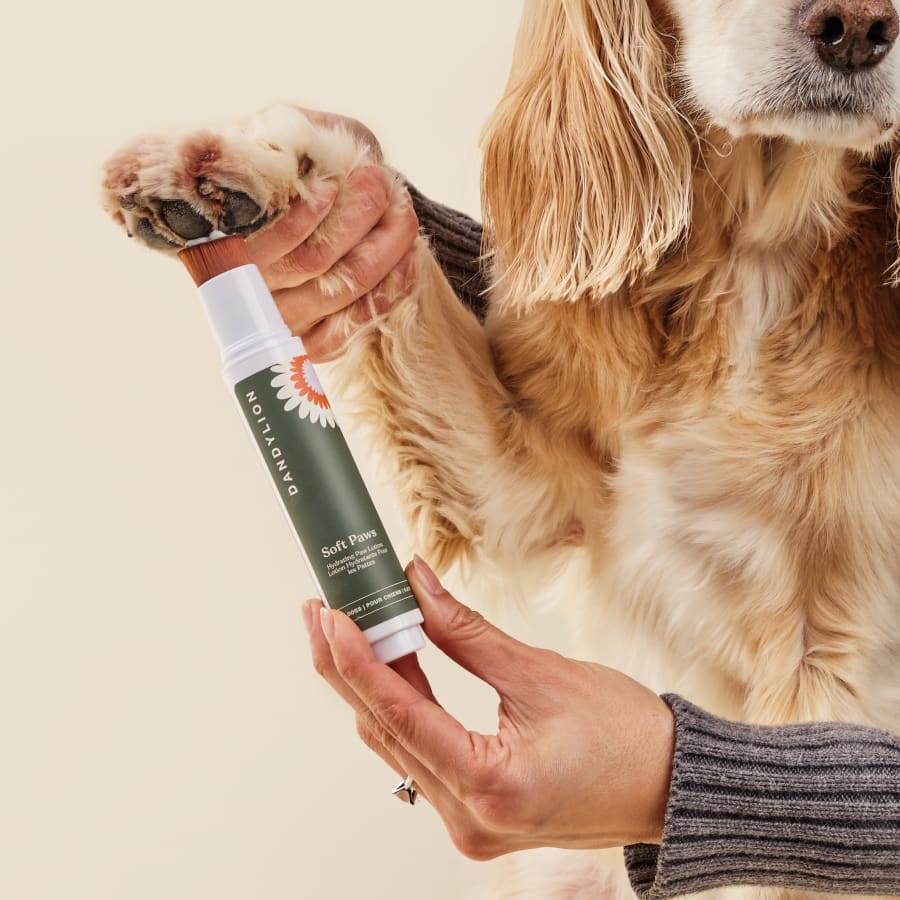 Clean, Soft Paws Kit | Paw Cleanser + Paw Lotion