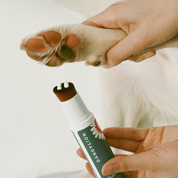 Soft Paws Hydrating Paw Lotion