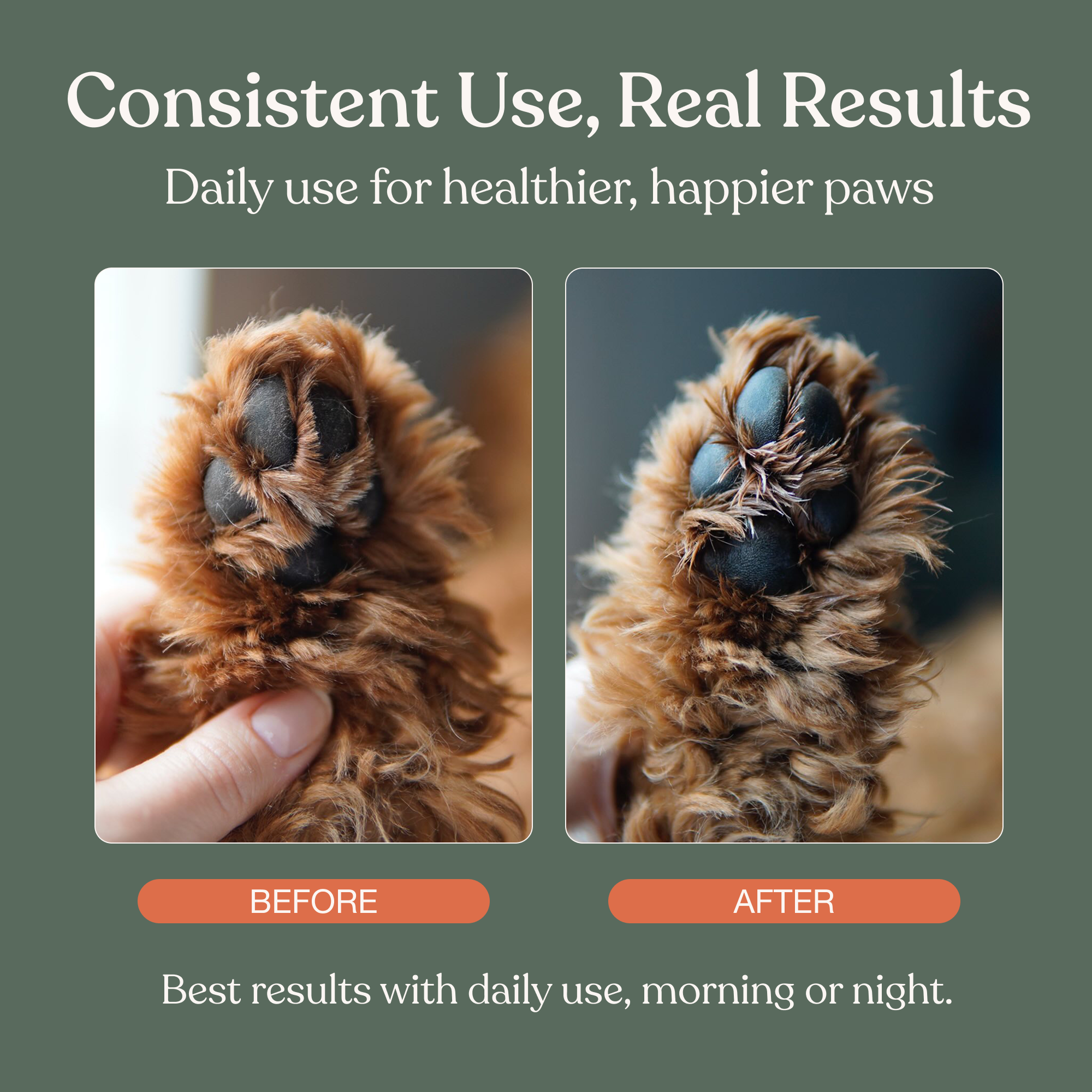 Soft Paws Hydrating Paw Lotion