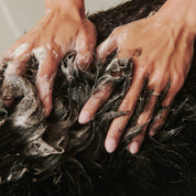 Soothe Gentle Cleansing Dog Shampoo