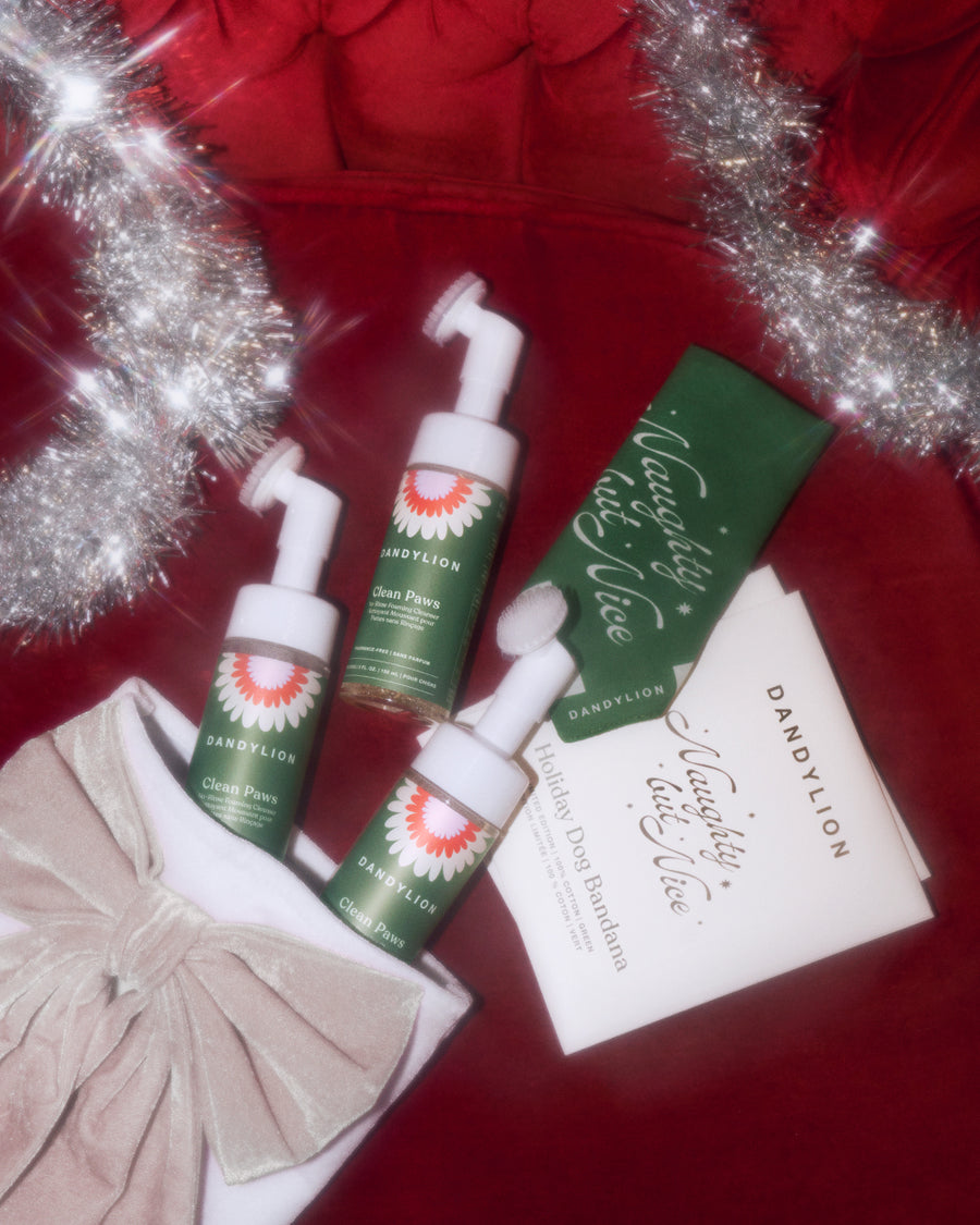 Stocking Stuffers for Three | 3 x Paw Cleansers and 3 x Bandanas