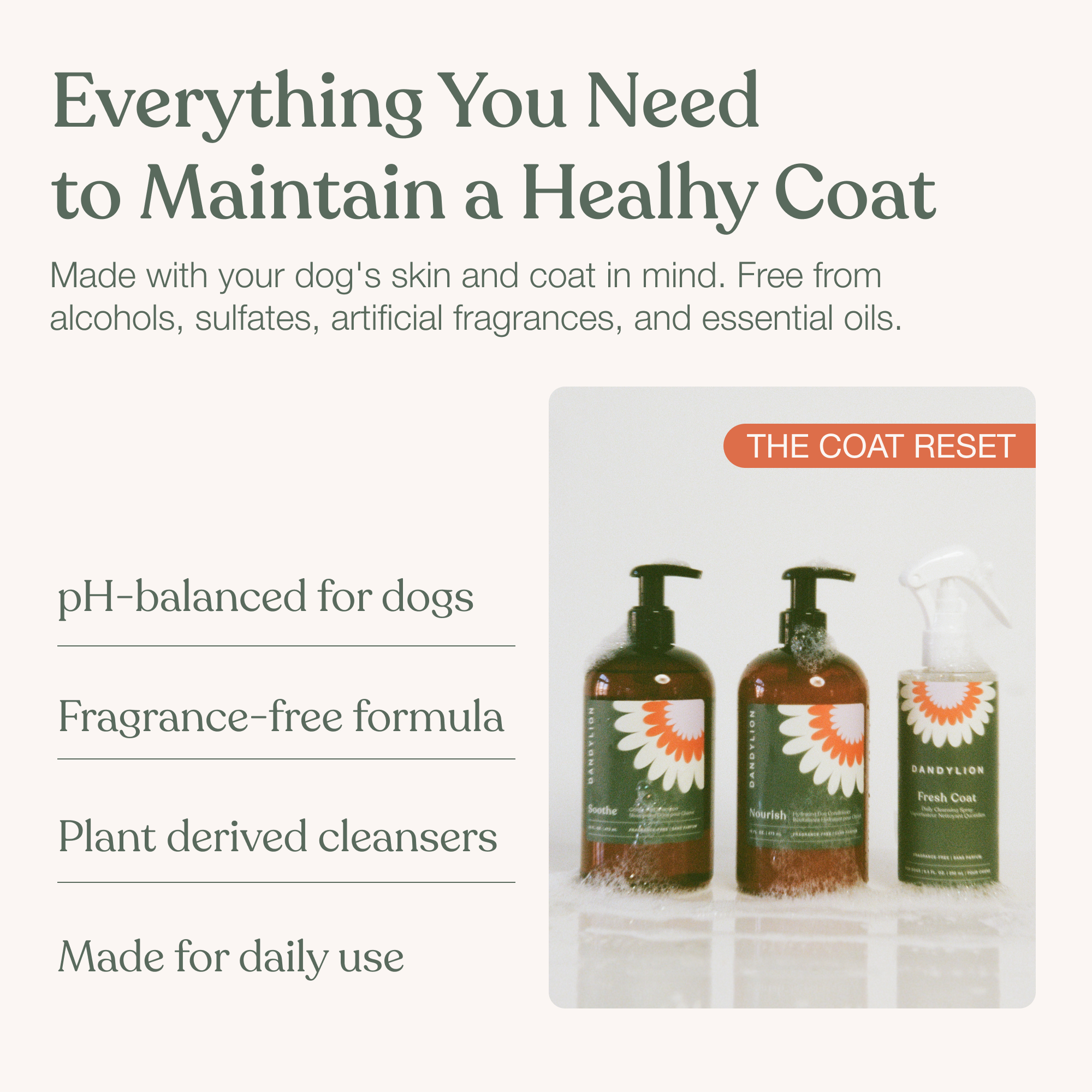 The Coat Reset