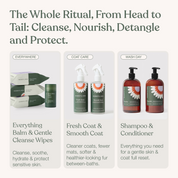 The Complete Skin + Coat Ritual