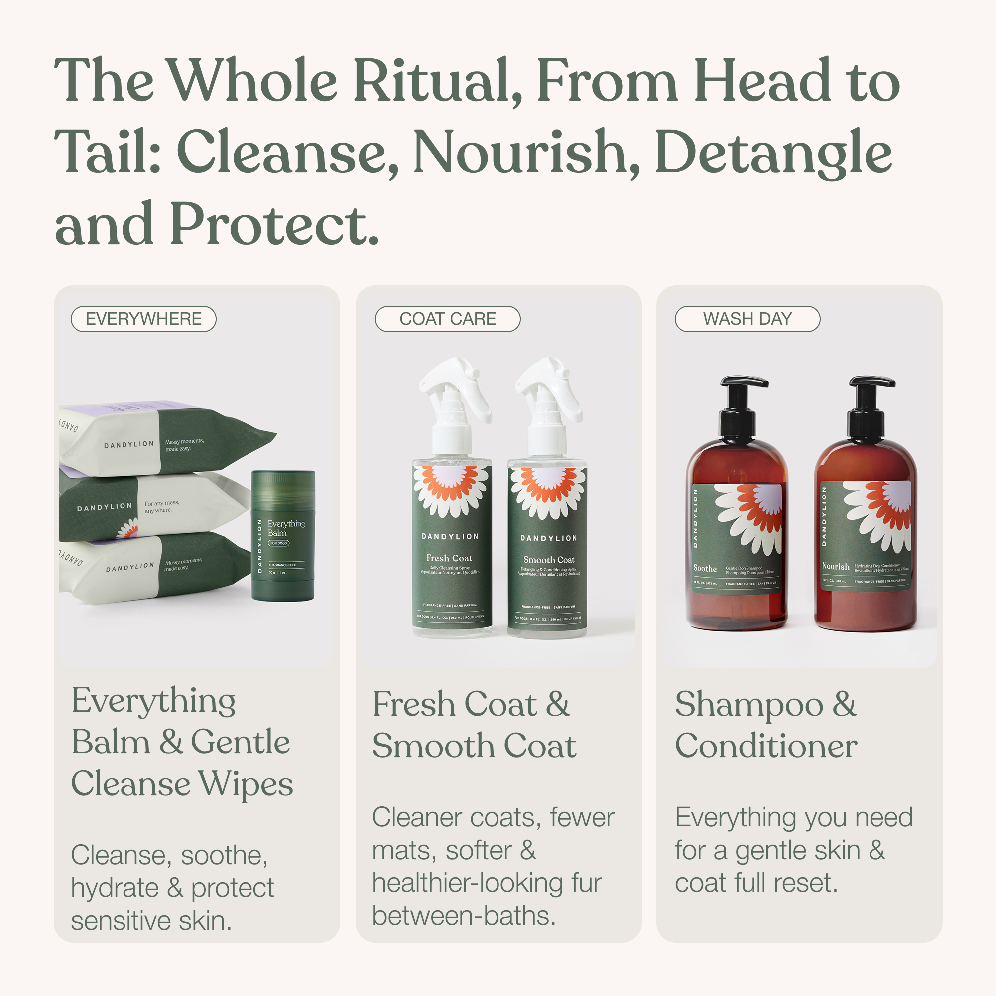 The Complete Skin + Coat Ritual
