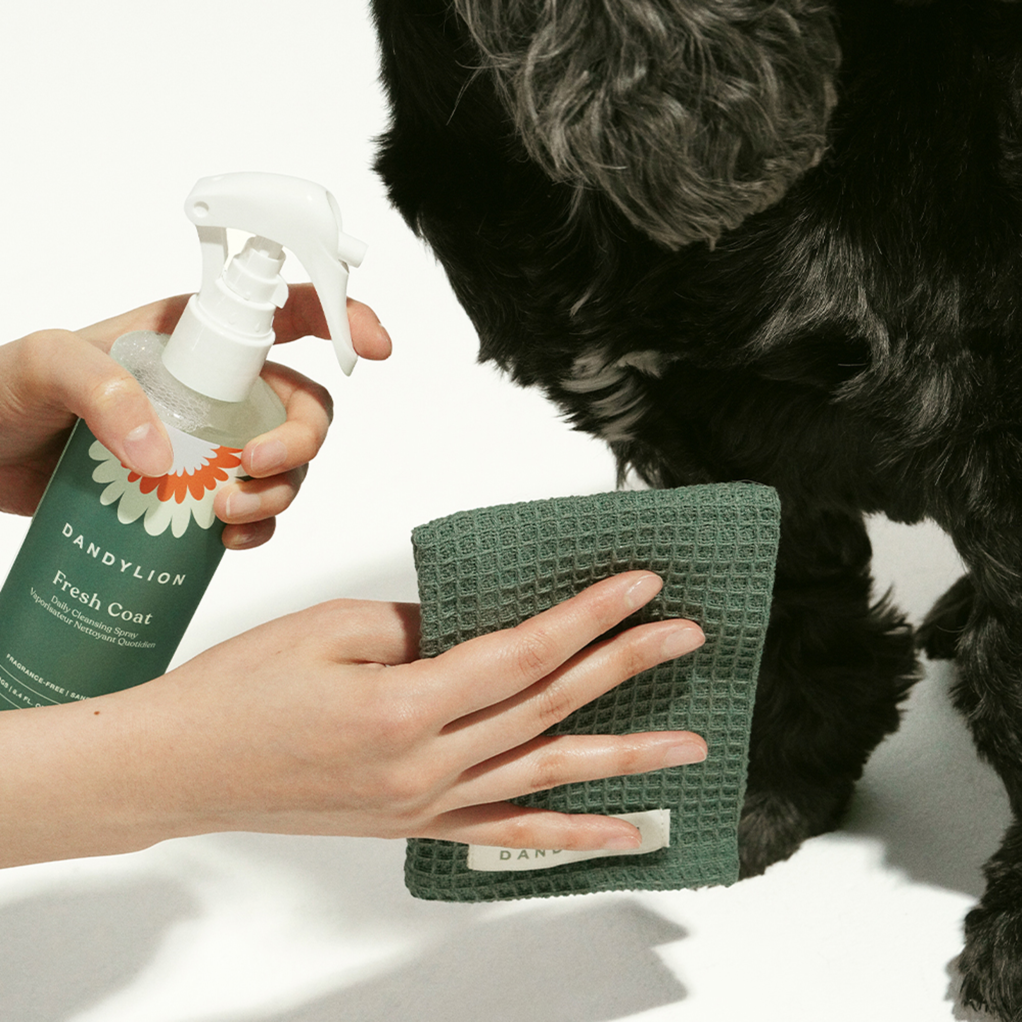 Daily Coat Cleaning Kit