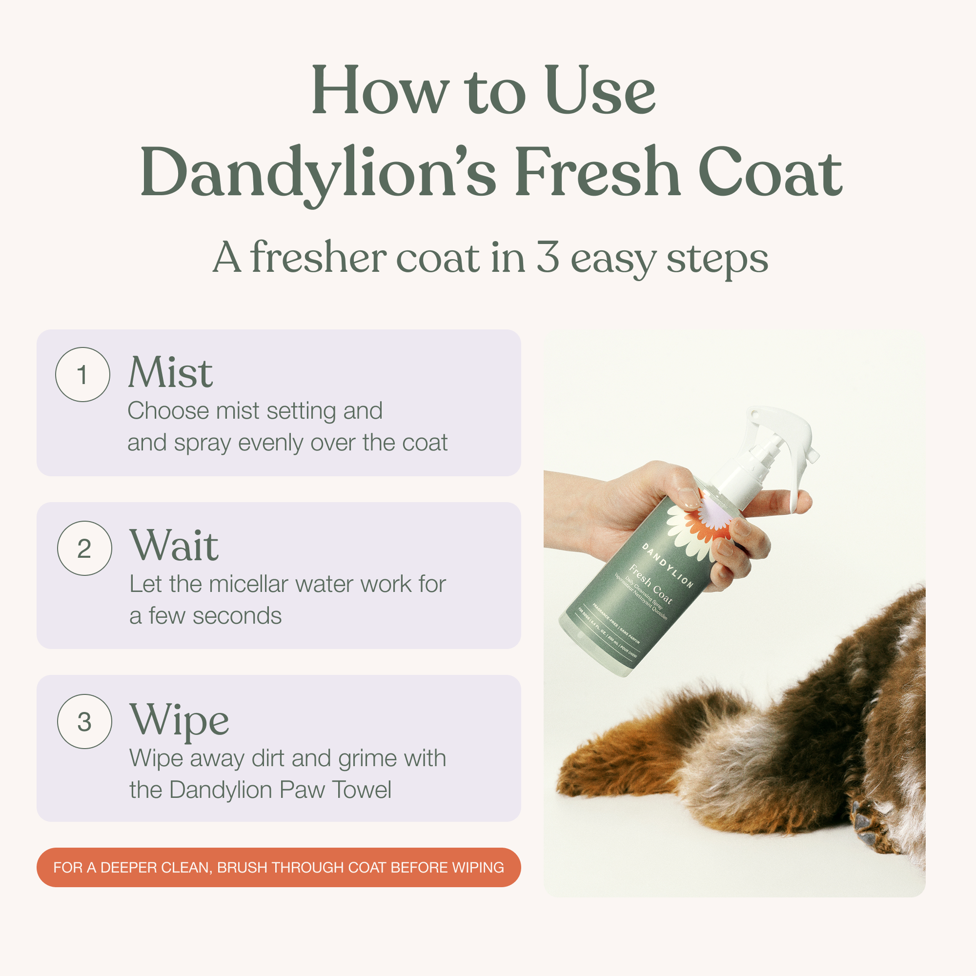 Daily Coat Cleaning Kit