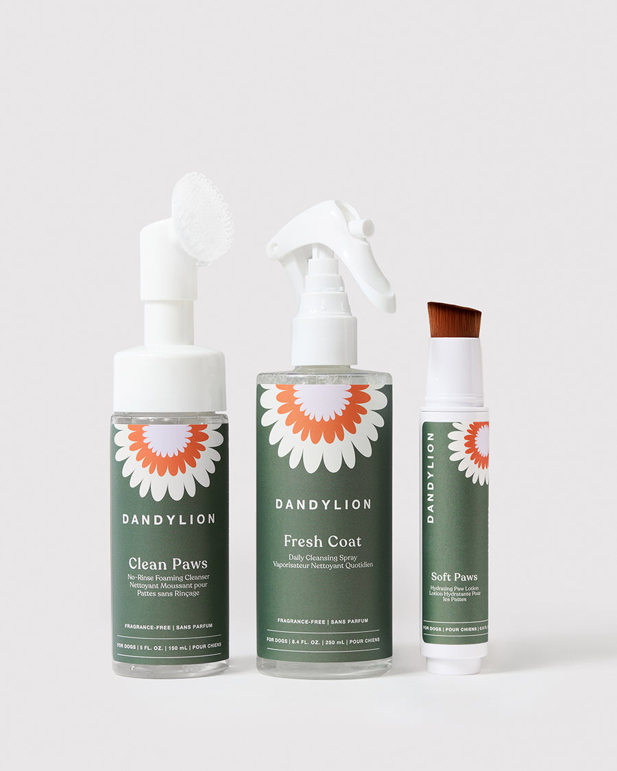 The Daily Routine | Paw Cleanser + Paw Lotion + Coat Cleansing Spray