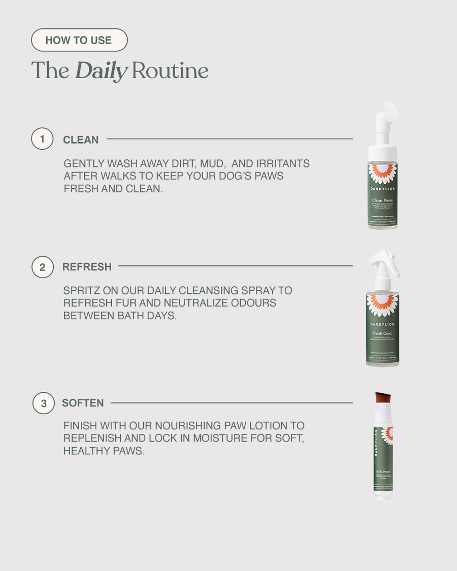 The Daily Routine | Paw Cleanser + Paw Lotion + Coat Cleansing Spray
