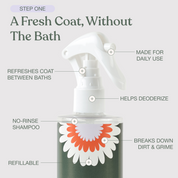 The Everyday Coat Ritual