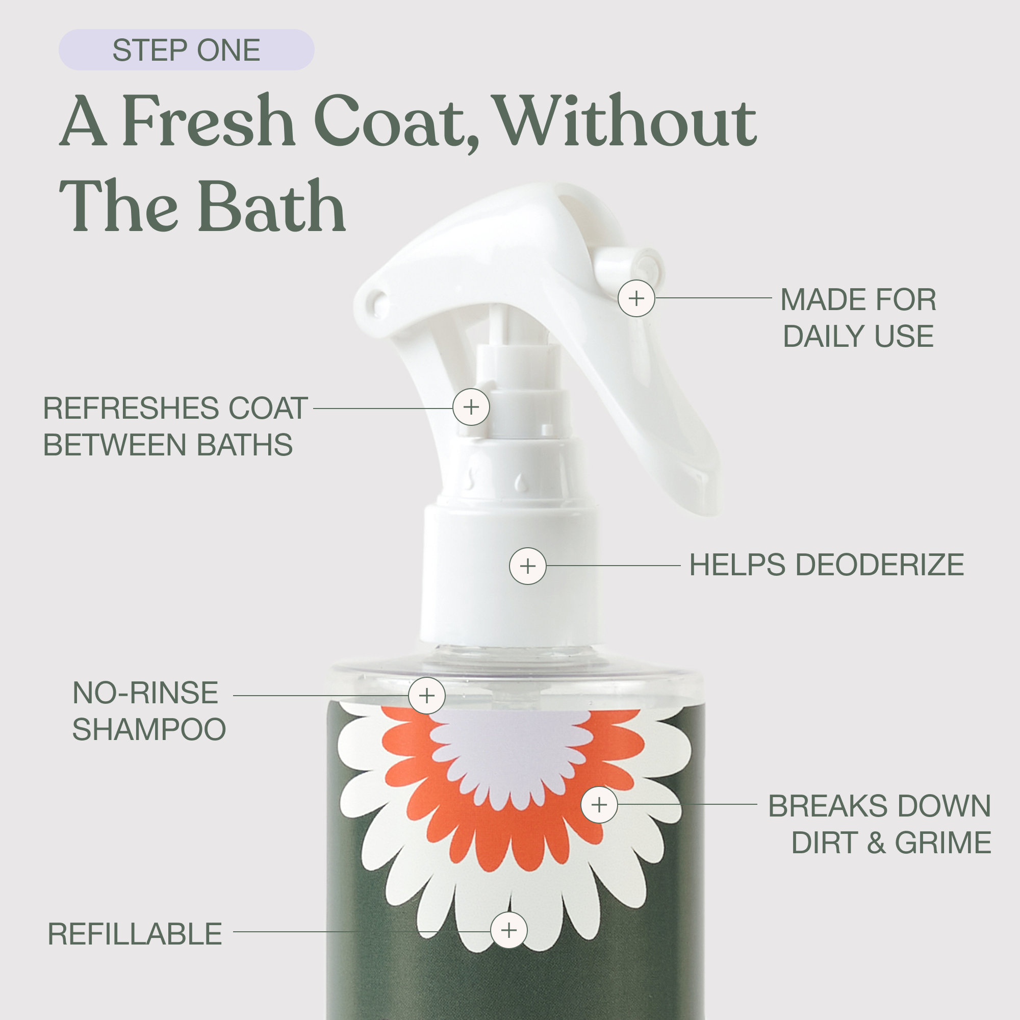 The Everyday Coat Ritual