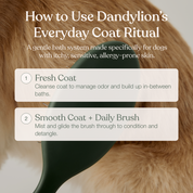 The Everyday Coat Ritual