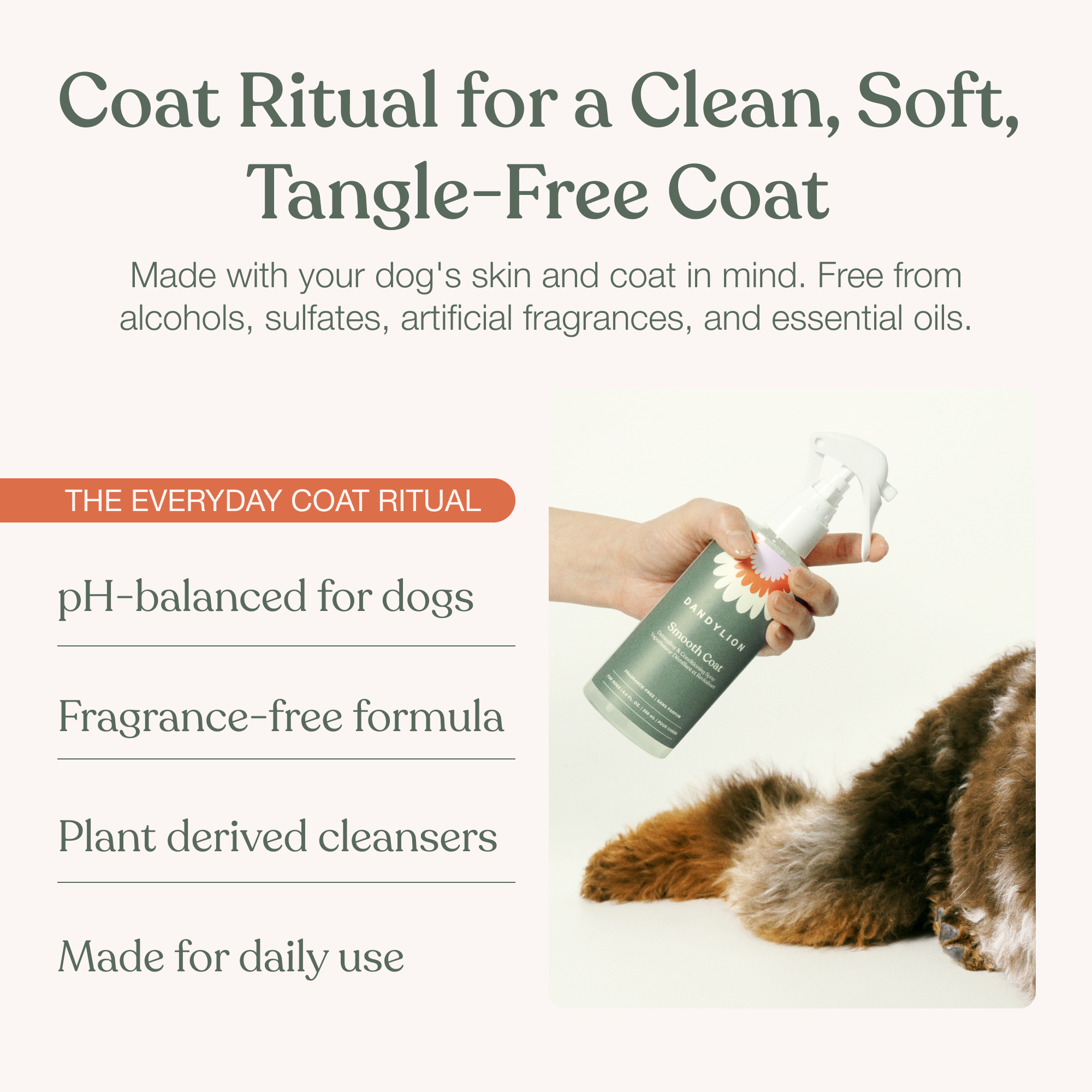 The Everyday Coat Ritual
