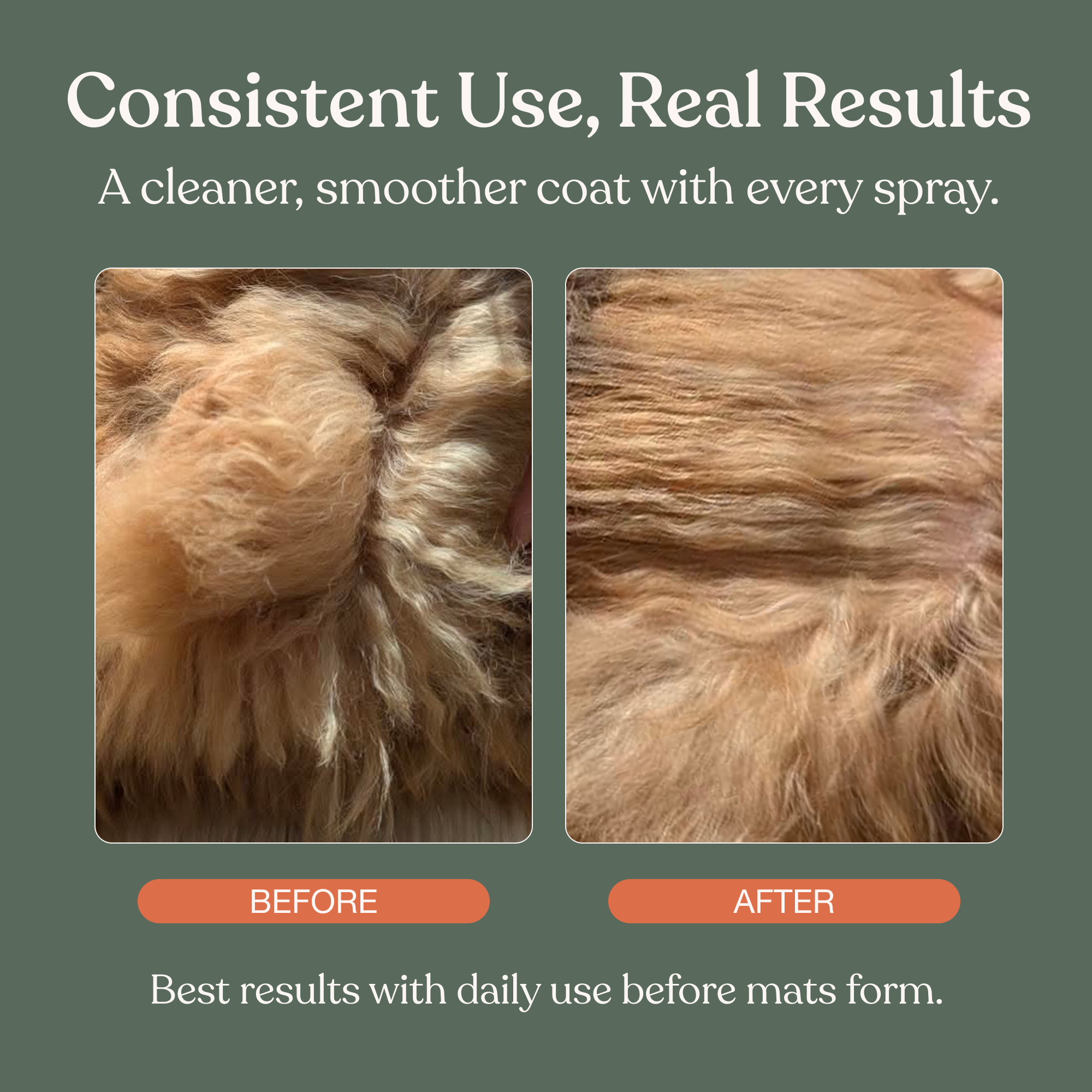 The Everyday Coat Ritual