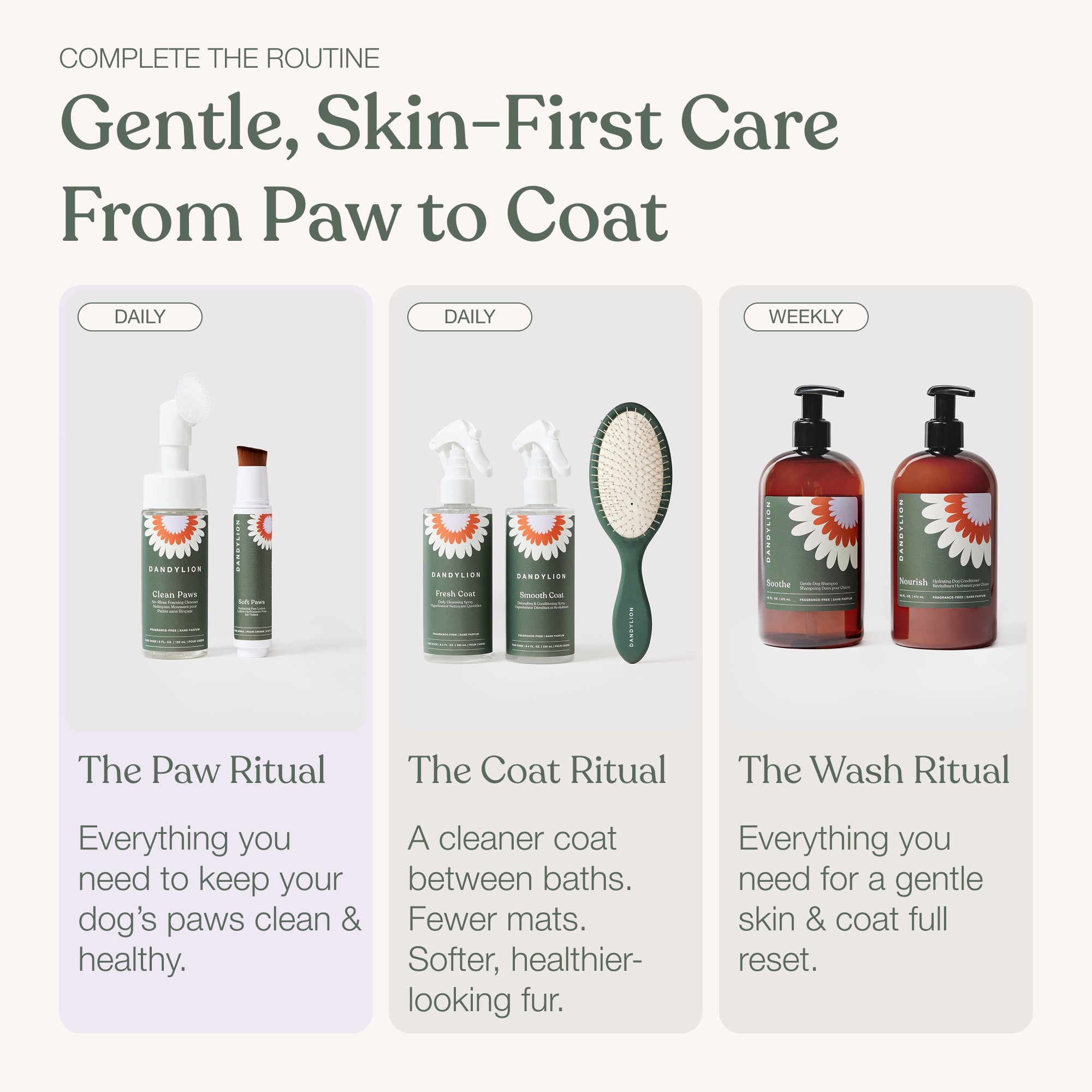 The Everyday Paw Ritual