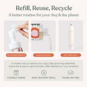 The Everyday Paw Ritual