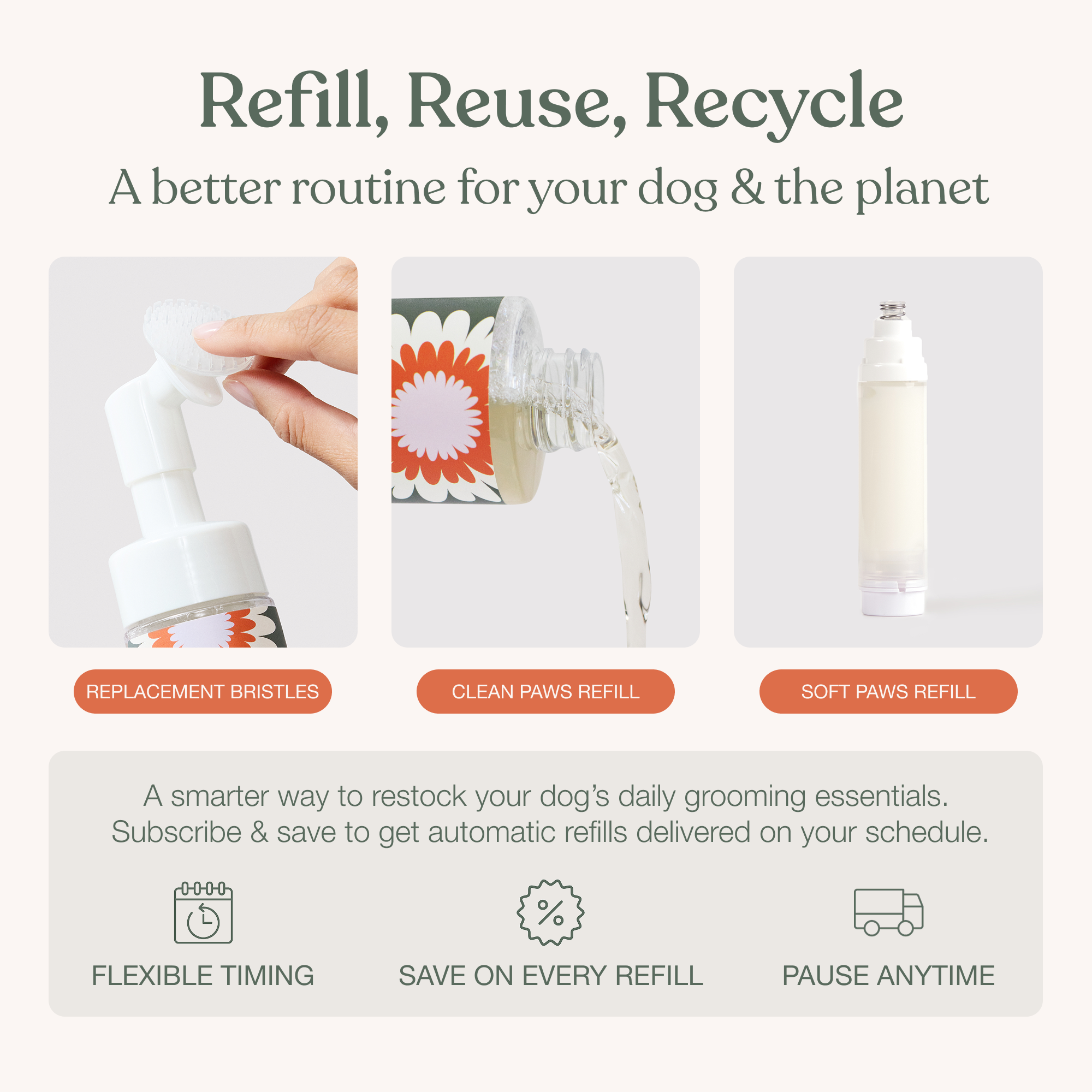 The Everyday Paw Ritual