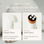 The Everyday Paw Ritual