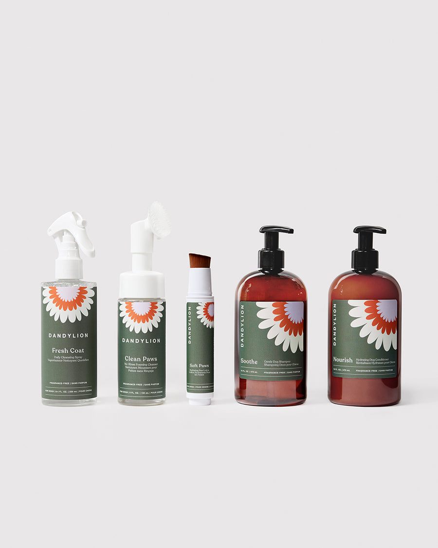 The Everything Kit - Complete Dog Grooming & Paw Care Bundle