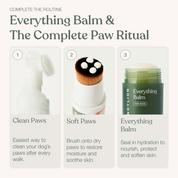 The Extra Protection Paw Ritual