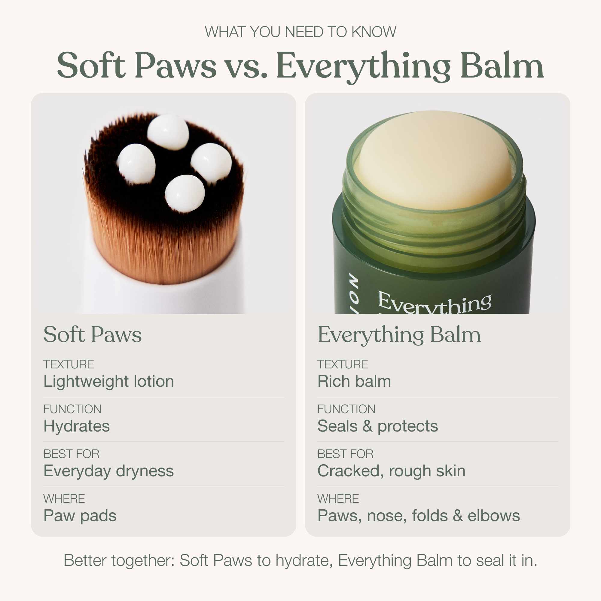The Extra Protection Paw Ritual