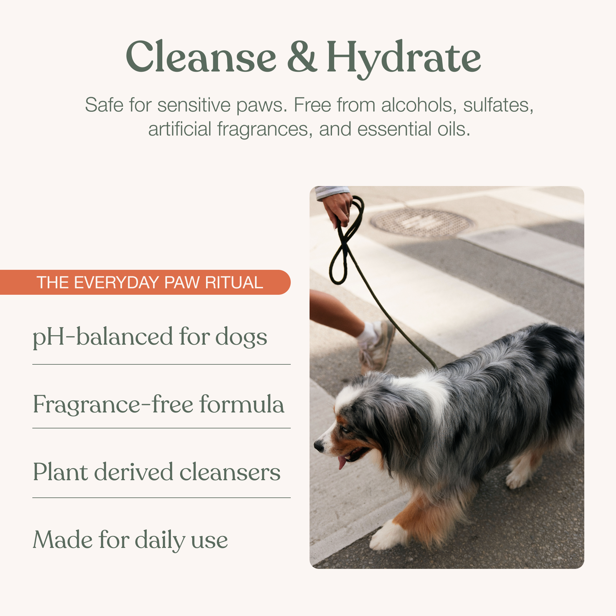The Paw Care Starter Kit