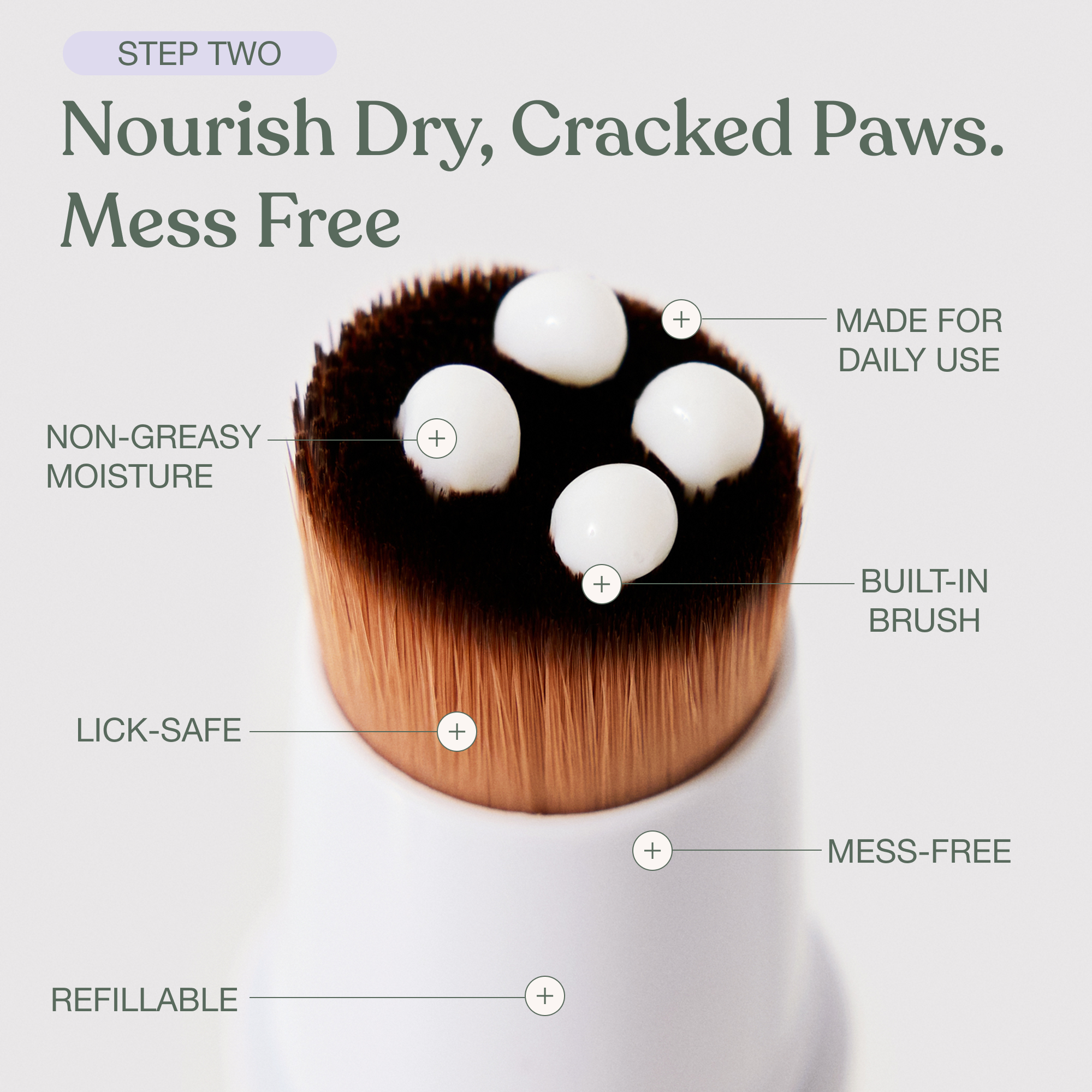 The Paw Care Starter Kit