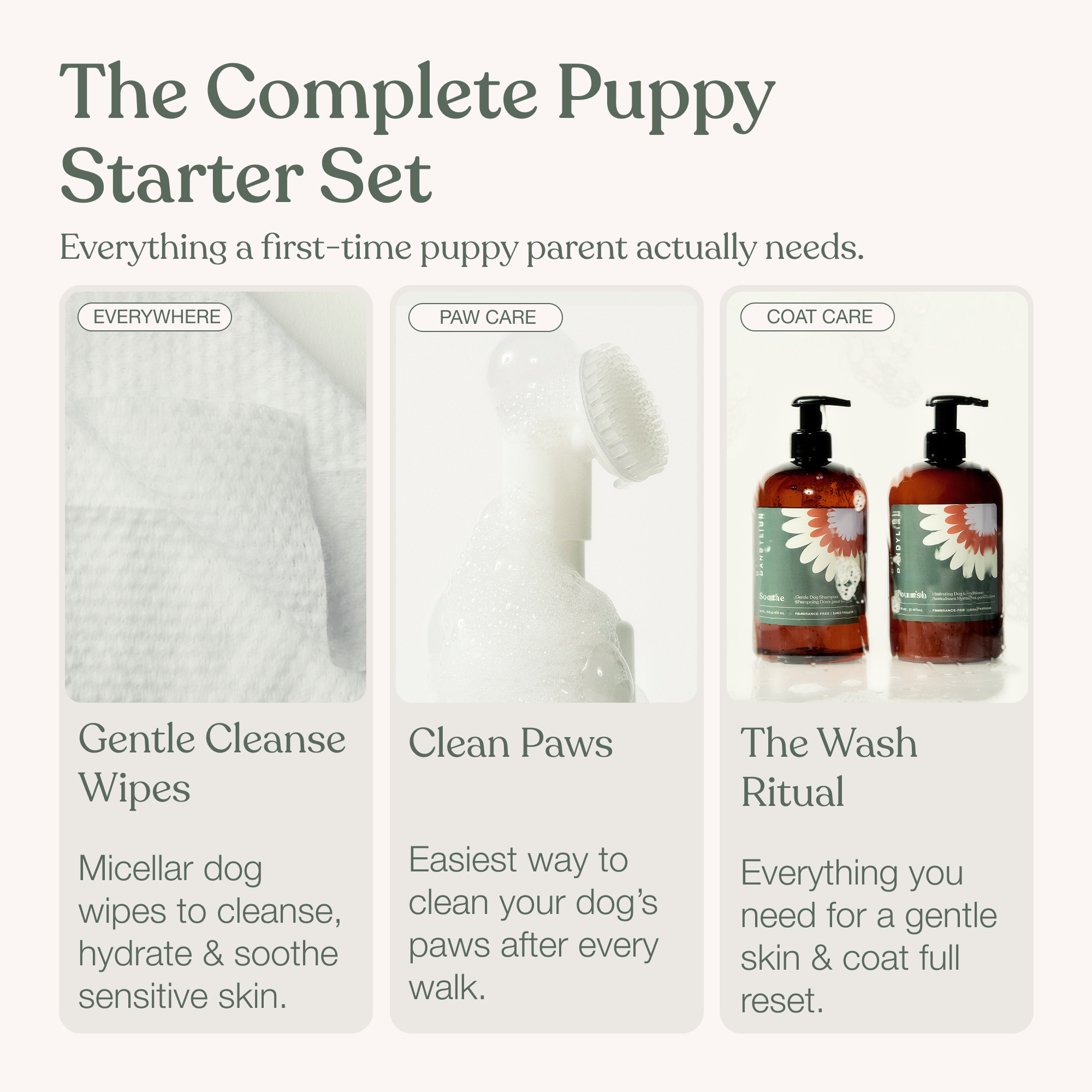 The Puppy Parent 101