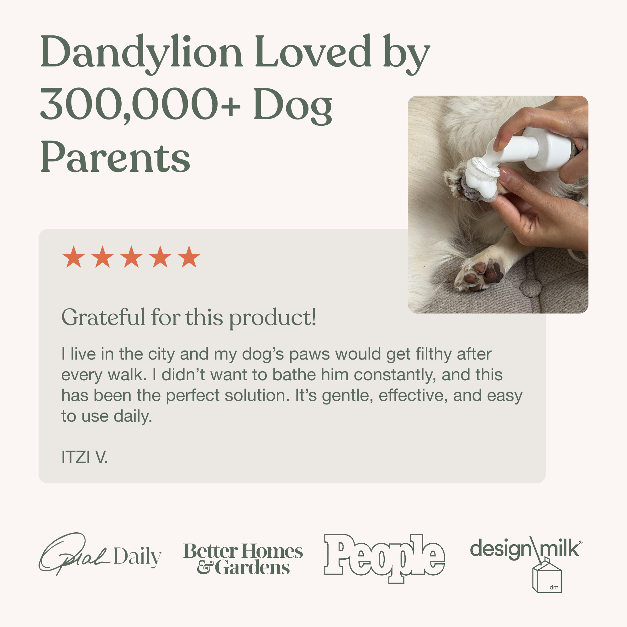 The Puppy Parent 101