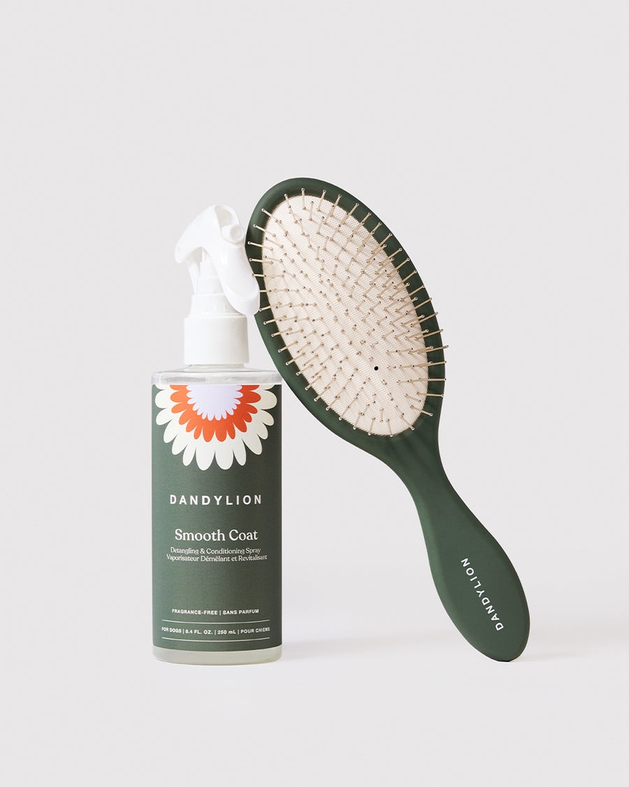 The Smooth Daily Duo | Detangling Spray + Brush