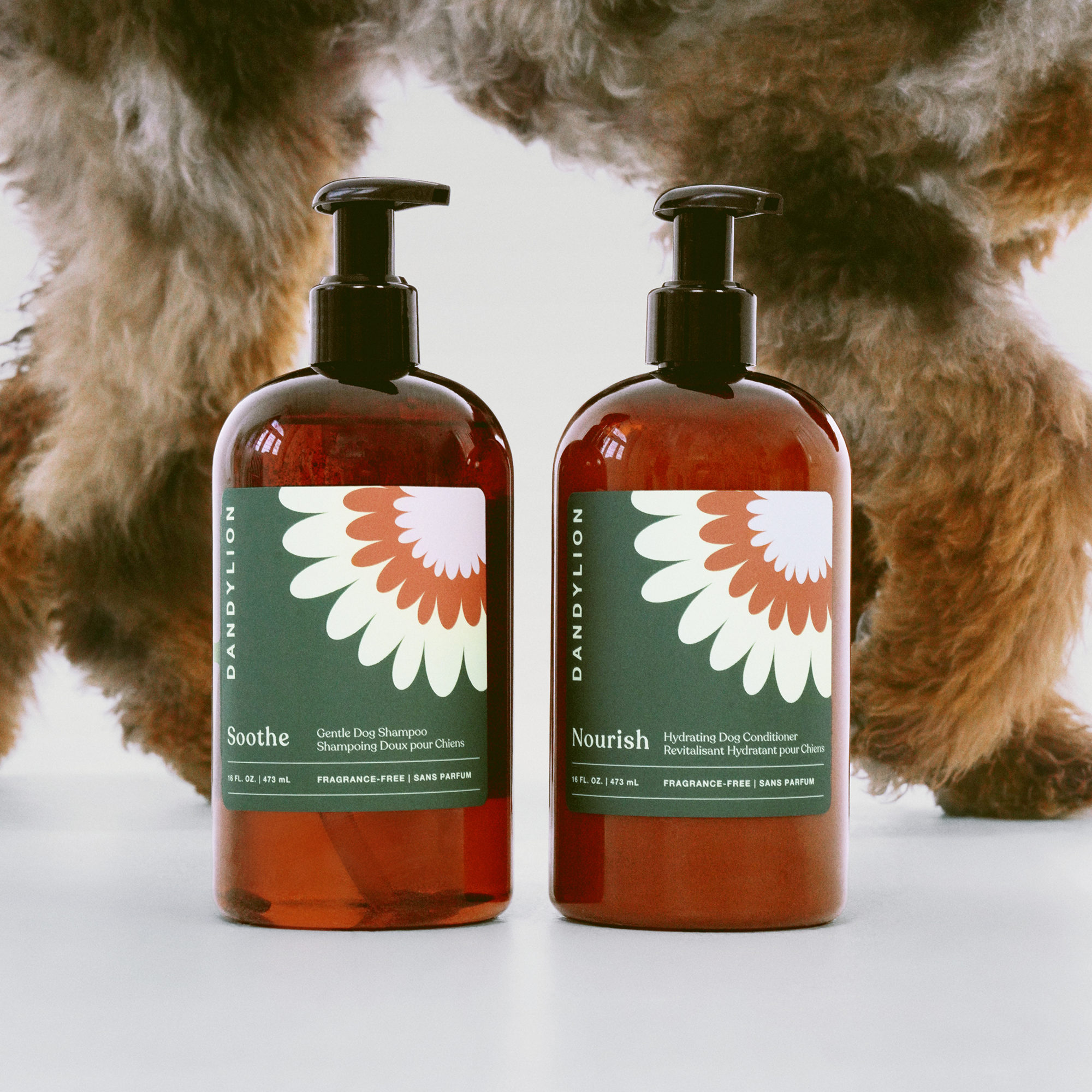 The Wash Ritual