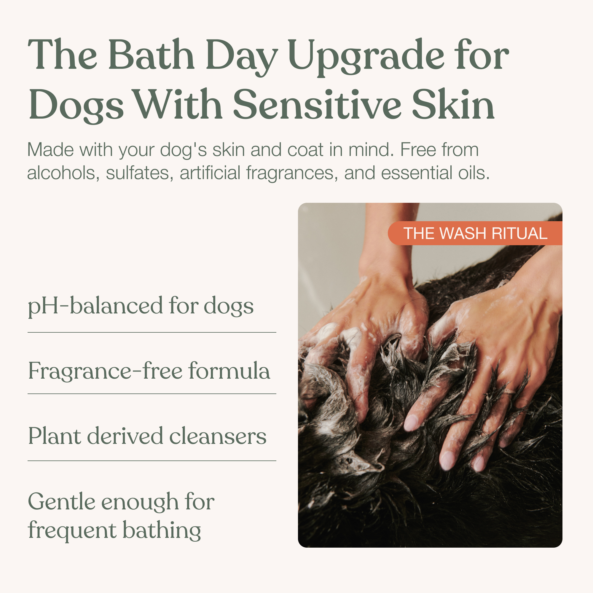 The Wash Ritual