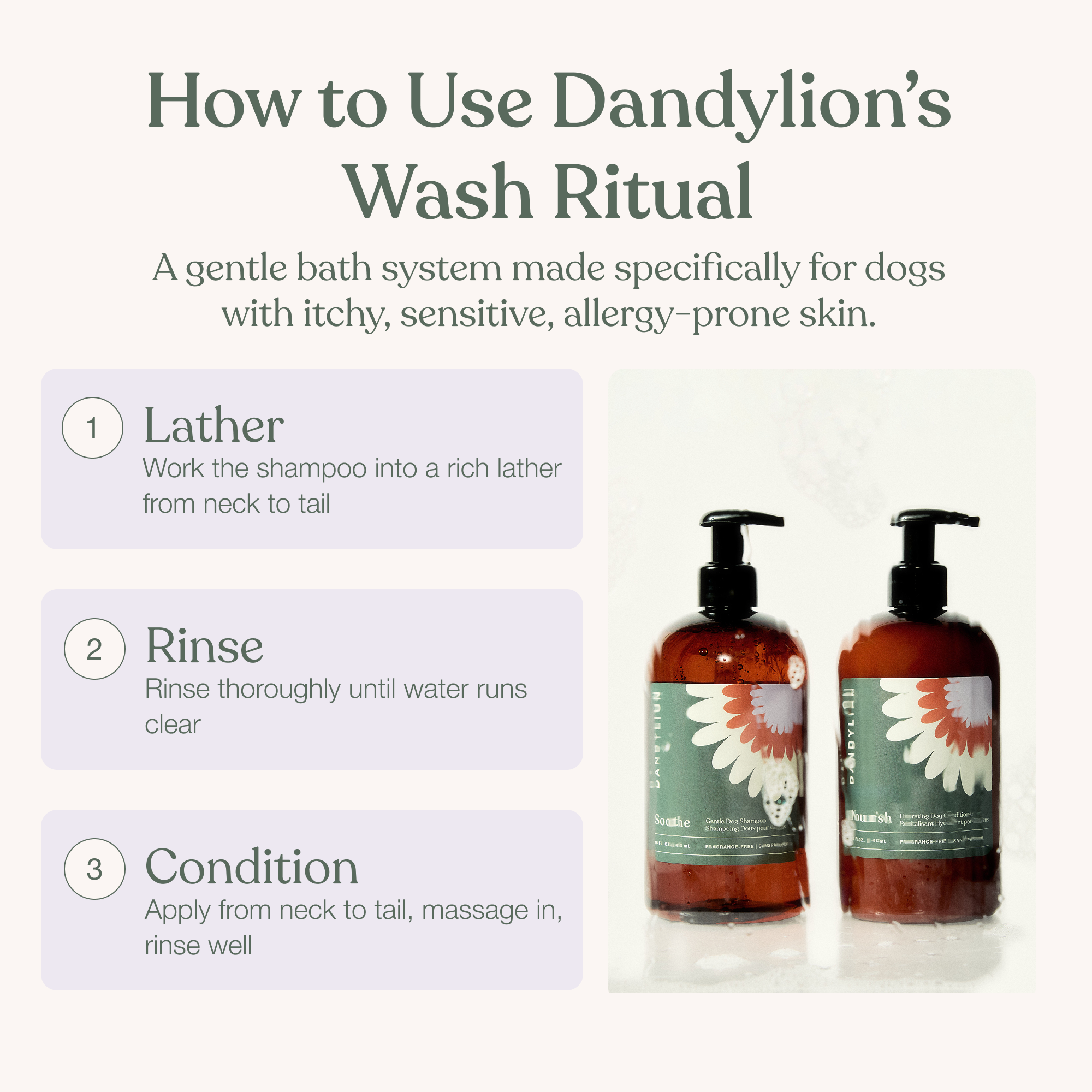 The Wash Ritual