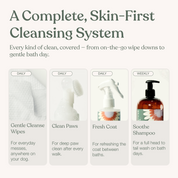 The Cleansing Essentials