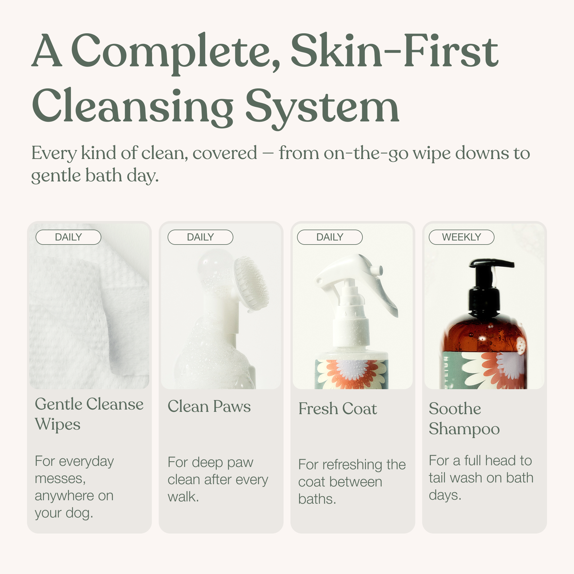 The Cleansing Essentials