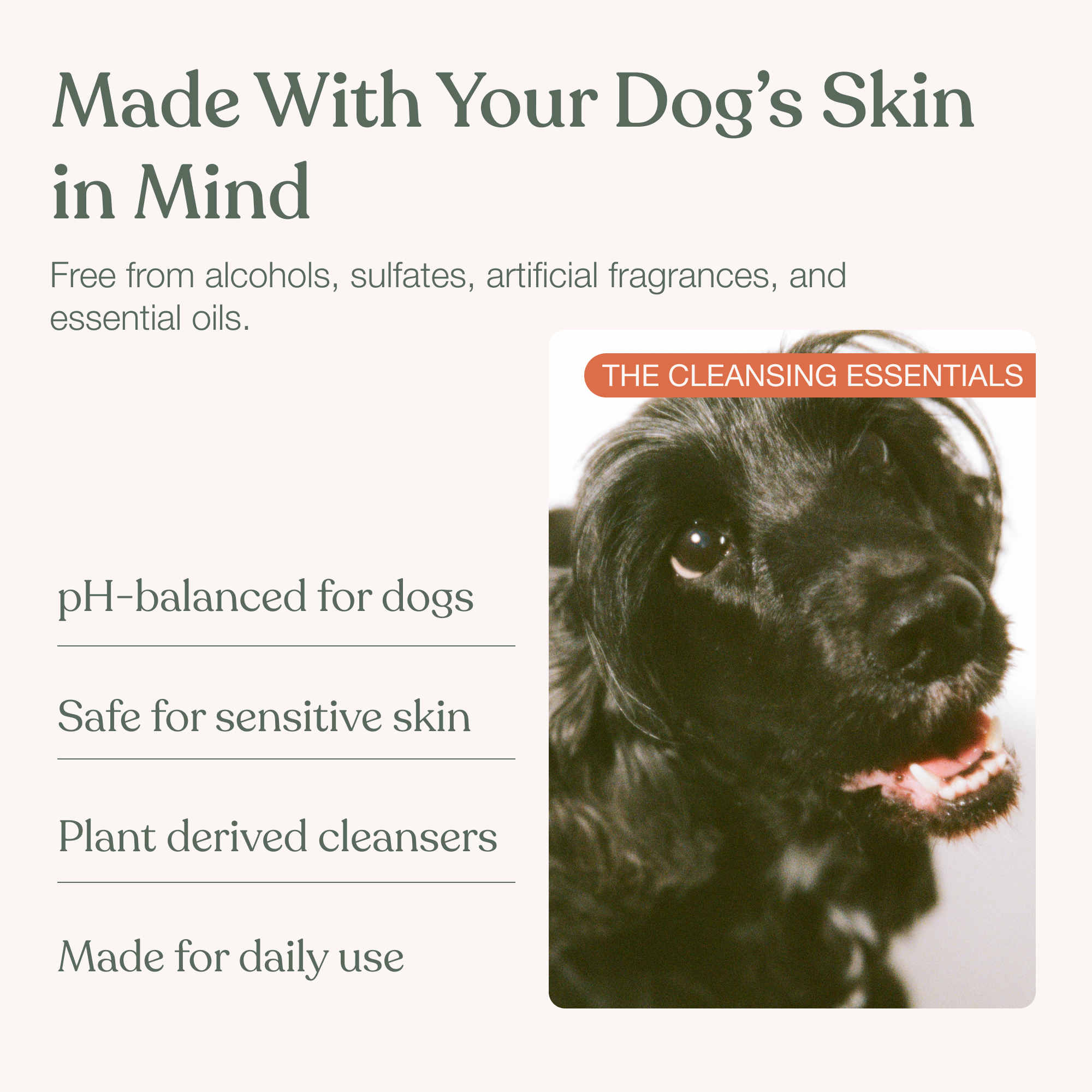 The Cleansing Essentials