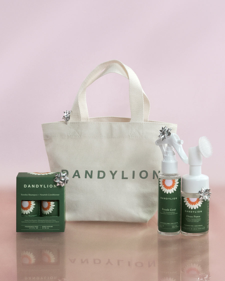 The Holiday Carry On | Complete Travel Set