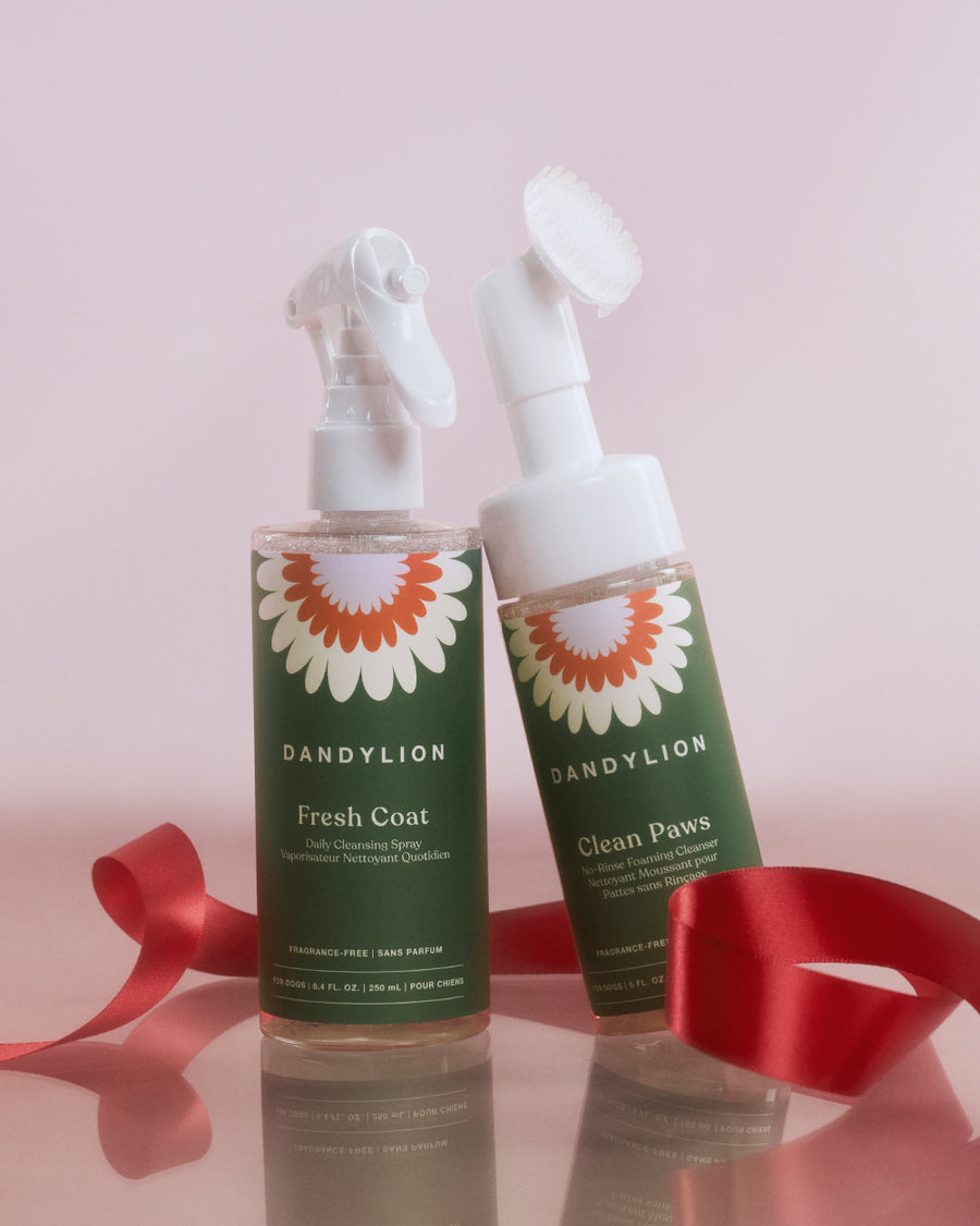 The Touch-Up | Look and Feel Clean